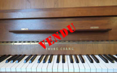 PIANO DROIT YOUNG CHANG OCCASION