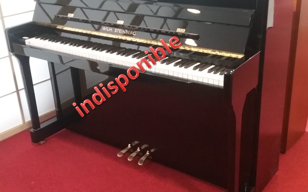 PIANO STEINBERG IQ16 AMADEUS