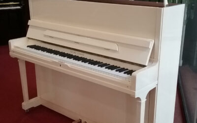 PIANO YOUNG CHANG OCCASION